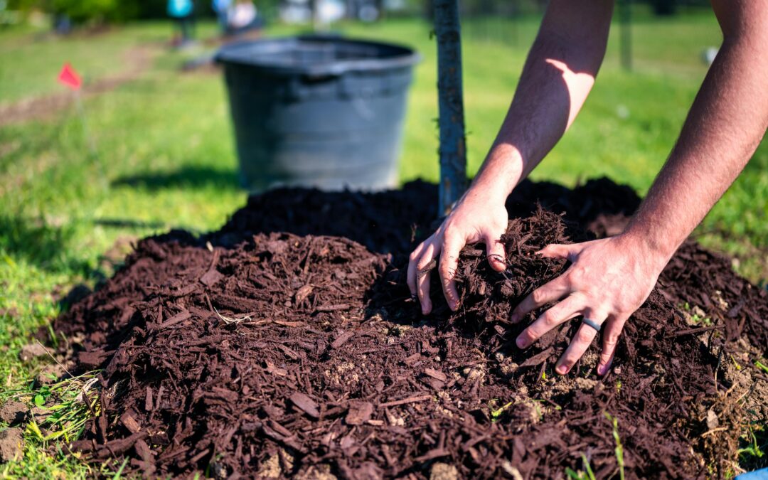 front yard landscaping ideas